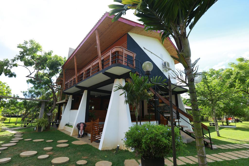 Eco Hotel Black & White - Anuradhapura Mihintale Esterno foto