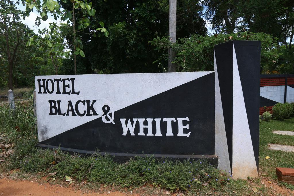 Eco Hotel Black & White - Anuradhapura Mihintale Esterno foto